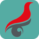 学籍/学历信息查询(学信网)